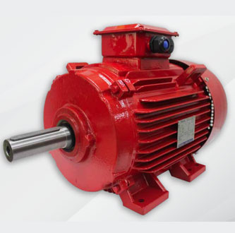 AESV3S_AESU3S Fire Pump Motor Series