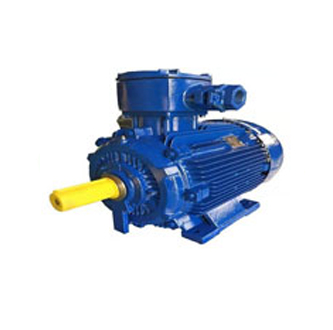 TEBY / TEXJ Flameproof Series Motor